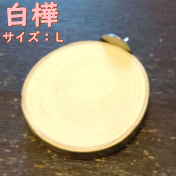 留め易い丸太切り株の止まり木（白樺）（TOY-08-022) TLの画像