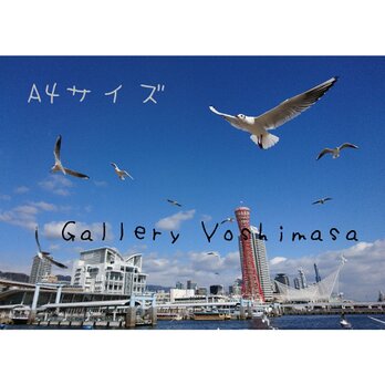 異国情緒漂う港町神戸 「かもめりあ」 「港のある暮らし」A4サイズ光沢写真横  写真のみ  神戸風景写真の画像