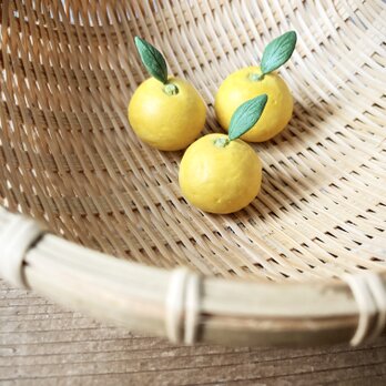 ［オプション］bud 橘の実