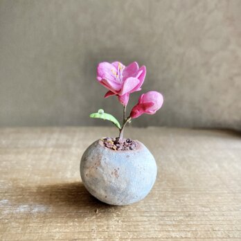 6300.bud 粘土の鉢植え モモの画像