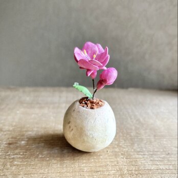 6304.bud 粘土の鉢植え モモの画像