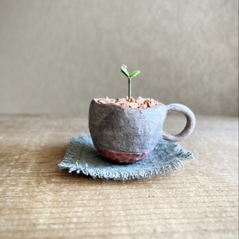6309.bud 粘土の鉢植え マグカップの画像