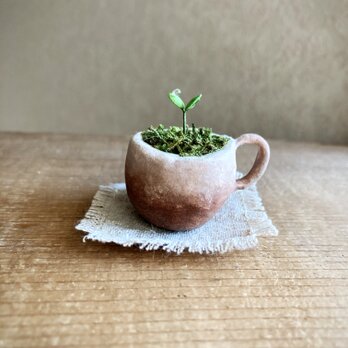 6311.bud 粘土の鉢植え マグカップの画像