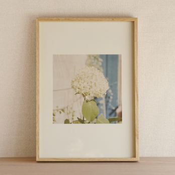 インテリアフォト『 - botanical "Hydrangea" -』の画像