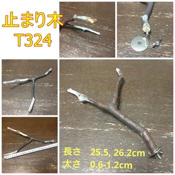 止まり木（枝：TOY-08-015）T324、T366の画像