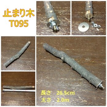止まり木（枝：TOY-08-015）T095、T397、T398、T399、T404の画像