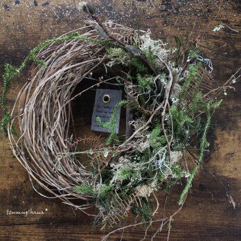 「眠る森」wreath　　コケのリース　　ドライフラワーリース　の画像