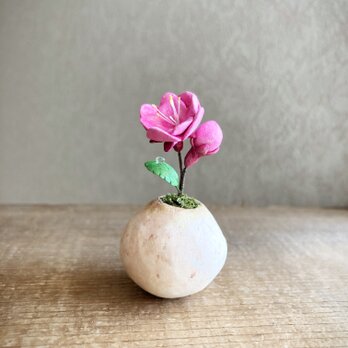 6333.bud 粘土の鉢植え モモ