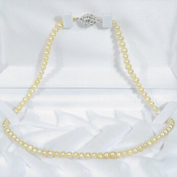 5.0-4.0mm本真珠（淡水）のネックレス（イエロー、マグネットクラスプ、ラインストーン）の画像