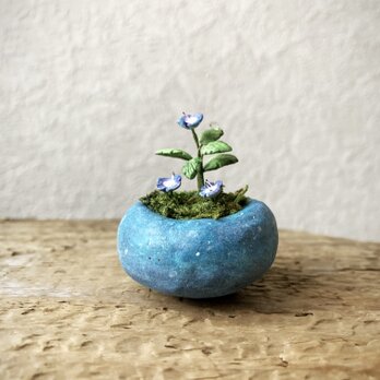 6344.bud 粘土の鉢植え オオイヌノフグリ