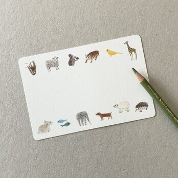 動物のポストカード 5枚組の画像
