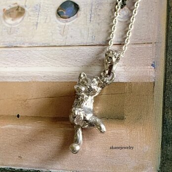 いたずら猫のダイヤモンドネックレスの画像