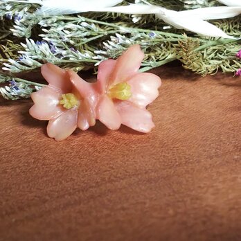 桜二輪象牙ヤシ草木染ブローチの画像