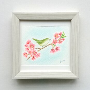 原画作品「桜と鶯」の画像
