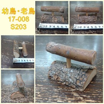 小型の幼鳥、老鳥用の止まり木（TOY-17-008)の画像