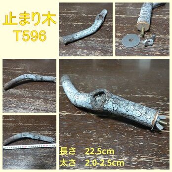 止まり木（枝：TOY-08-015）T596