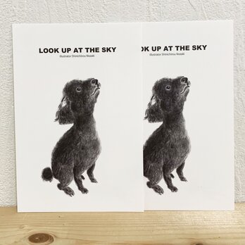 (073)LOOK UP AT THE SKY同柄２枚SETの画像