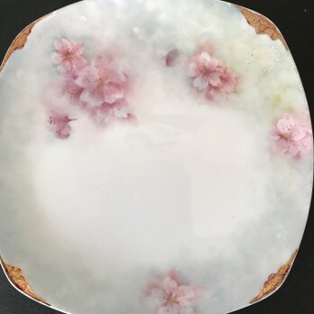 ポーセリン　チャイナペイント　桜　絵皿の画像