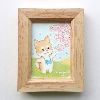 複製ミニイラスト「柴犬ちゃん、春の出逢い」の画像