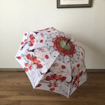 さくらんぼ佐藤錦の雨傘の画像