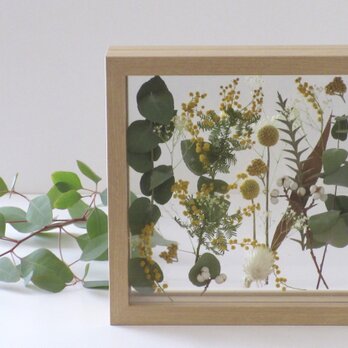 framed flower garden(m)＊ミモザ＊母の日・お祝いなどにの画像
