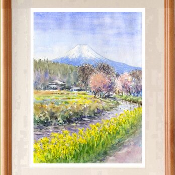 水彩画原画　富士山と菜の花　忍野村　＃491の画像