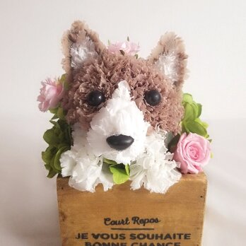 【コーギー】プリザーブドフラワー　フラワーペット カーネーション 犬　母の日　お供え 誕生日　花の画像