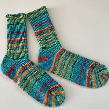 手編み靴下【Opal  秋のメロディ11123】の画像
