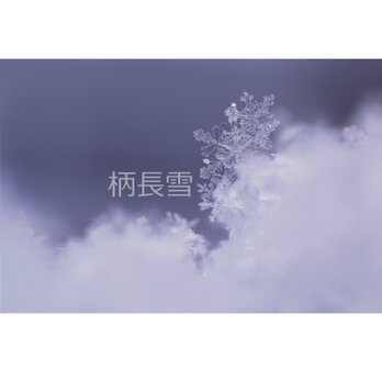 ＃１３０３　雪の結晶の写真 ２Ｌサイズの画像