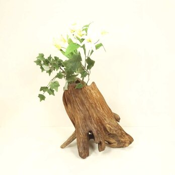 【温泉流木】存在感ある美しいナナメ根流木の花器 花瓶 流木インテリアの画像