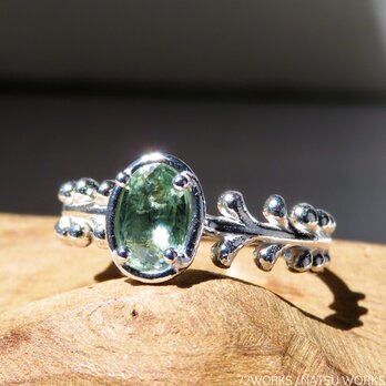 トルマリン リング / Botanical Tourmaline Ring gの画像