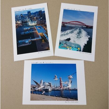 ポストカード３枚セット みなと神戸に咲く華「ユリカモメ」「夕夜景」「引き波」神戸風景写真 港町神戸 送料無料の画像