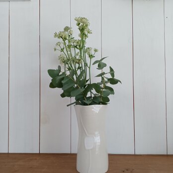白い花瓶の画像