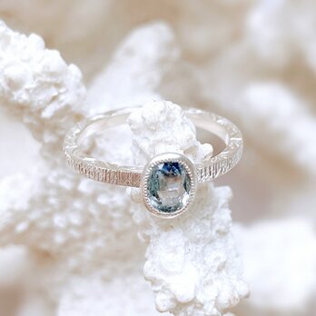 FR005R-SV-iceblue-sapphireの画像