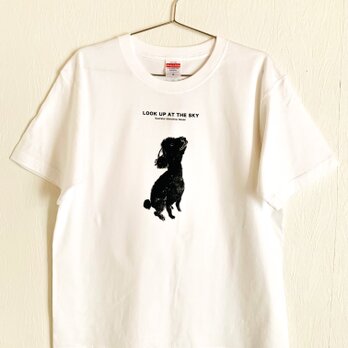 No.25  LOOK UP AT THE SKYプレミアムTシャツの画像