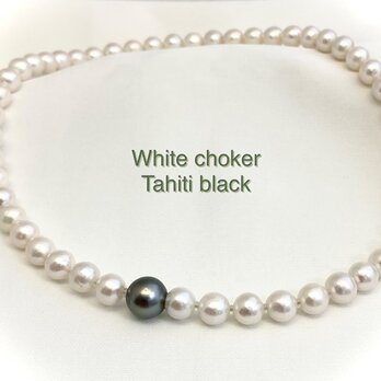 White choker Tahiti black（ホワイトチョーカータヒチブラック）の画像