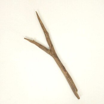 【温泉流木】ダークブラウンの鋭いＹ字上質枝流木 枝 流木素材 インテリア素材 木材の画像