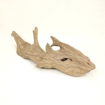 【温泉流木】深海魚のようなイメージの変形流木 流木素材 インテリア素材 木材の画像