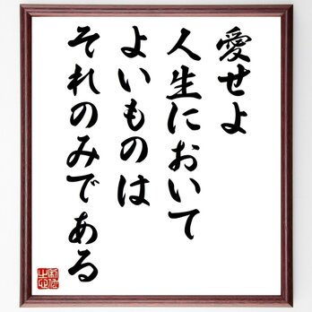 ジョルジュ・サンドの名言「愛せよ、人生においてよいものはそれのみである」手書き書道色紙額／受注後の毛筆直筆（Z1689）の画像