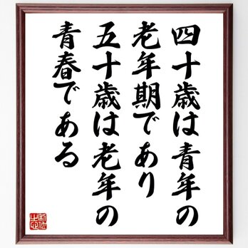 ヴィクトル・ユーゴーの名言「四十歳は青年の老年期であり、五十歳は老年の青春で～」手書き書道色紙額／受注後の毛筆直筆（Z1515）の画像
