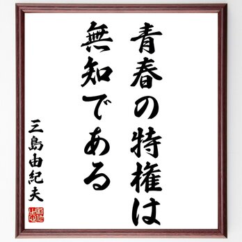 三島由紀夫の名言「青春の特権は無知である」額付き書道色紙／受注後直筆／Z2686の画像