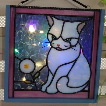 猫さん壁掛けBOXの画像