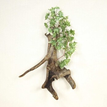 【温泉流木】美しい根流木のスリムな壁掛け一輪挿し・花器 花瓶 流木インテリアの画像