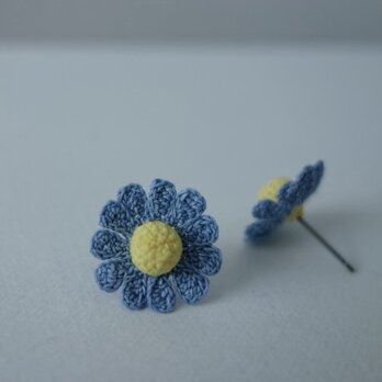 chamomile flower /  light blueの画像