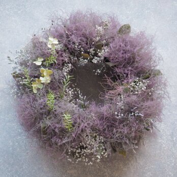 スモークツリーのリース・紫の画像