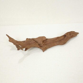 【温泉流木】紙飛行機のように飛んでいきそうな美しい変形流木 流木素材 インテリア素材 木材の画像