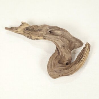 【温泉流木】流れるような繊細形状の美しい変形流木 流木素材 インテリア素材 木材の画像