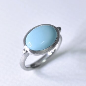 【販売済み】Sleeping Beauty Turquoise Pt950 Ring 【Tortin/トーティン】