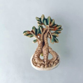 精霊の木「ガジュマル」［陶器ブローチ］の画像