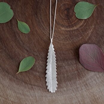 Banksia leaf necklace [P096SV]の画像